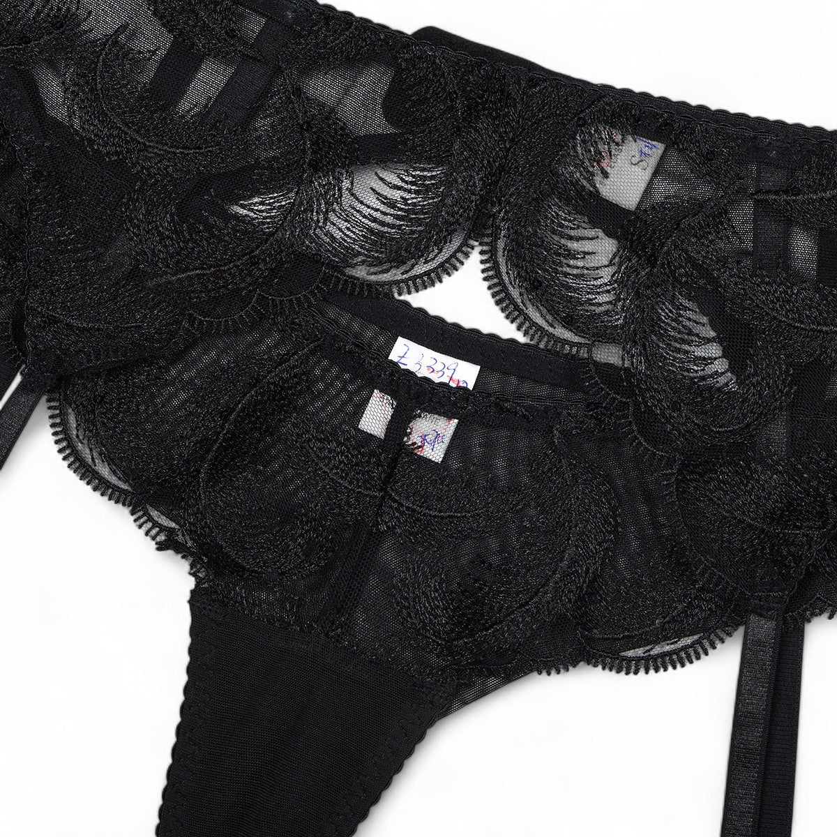 Ensemble Carlotta