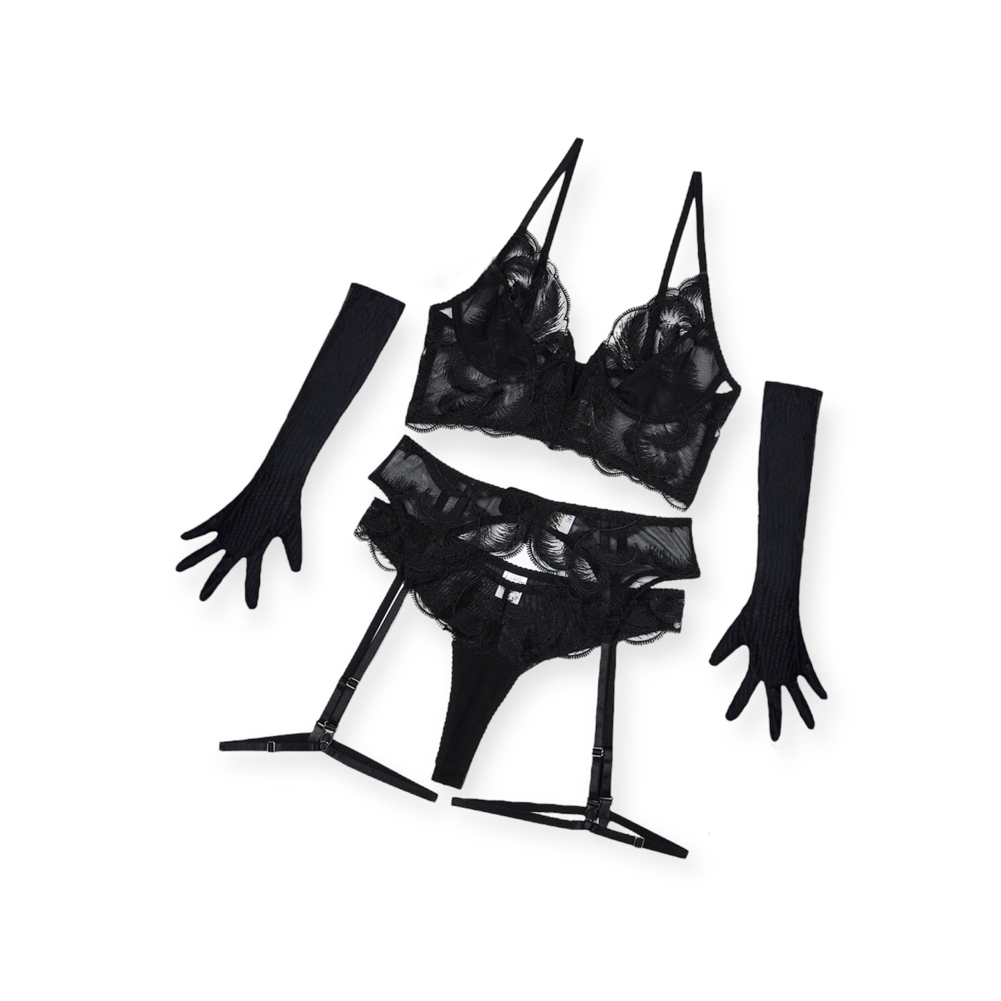 Ensemble Carlotta